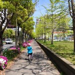 つつじ